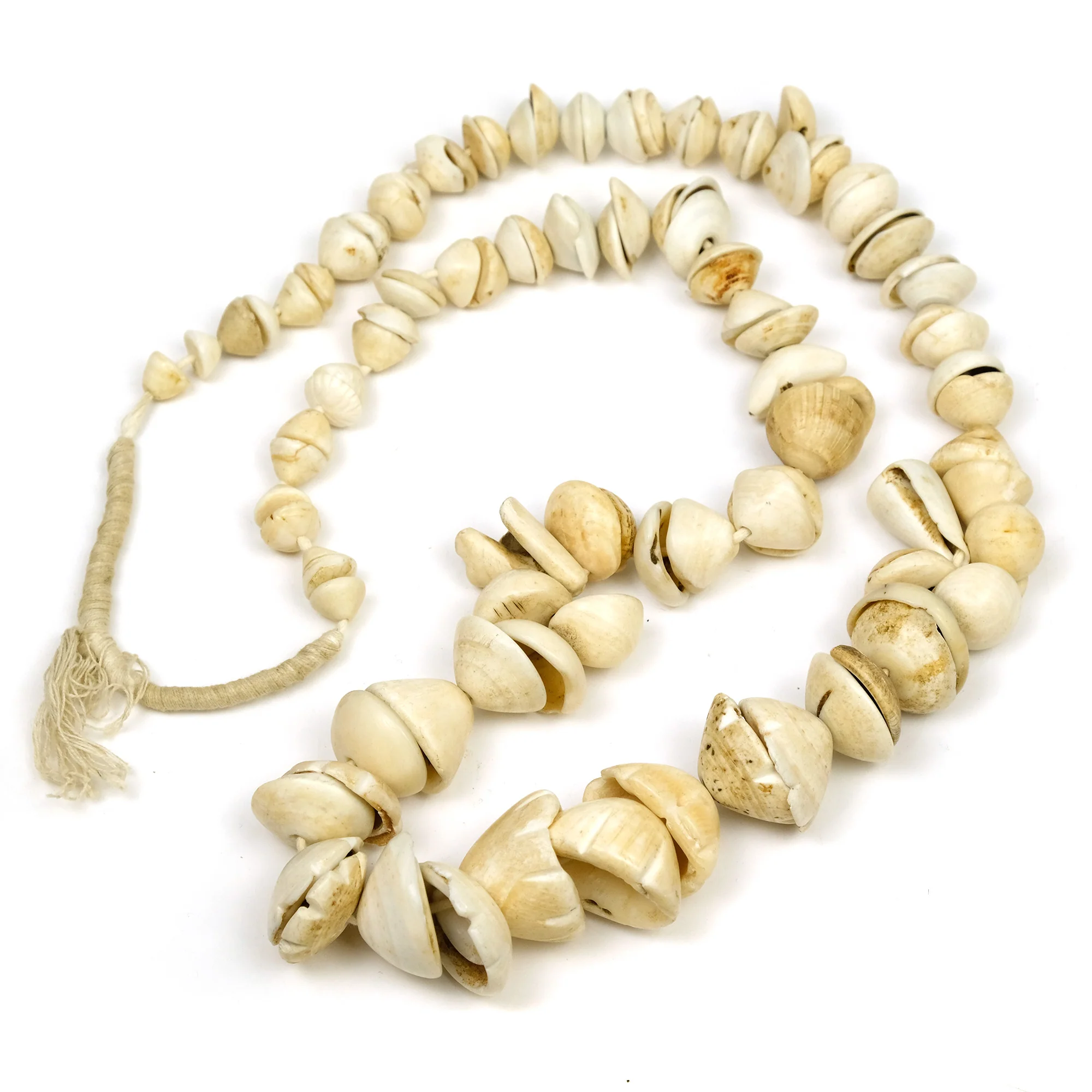 19th Century Conus Dowry Shell Bead Necklace - Image 2