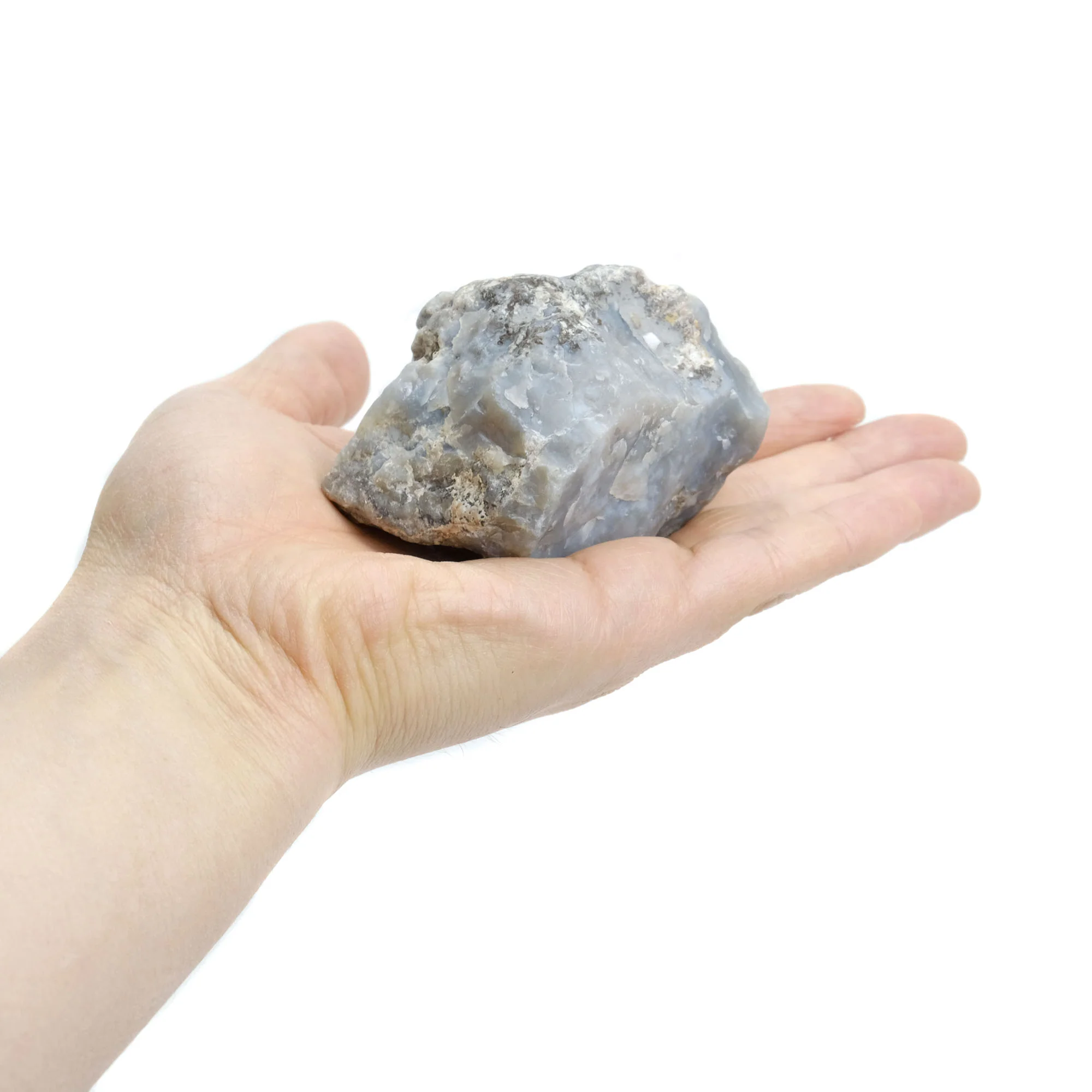 Agatized Coprolite Specimen #103 - Image 2