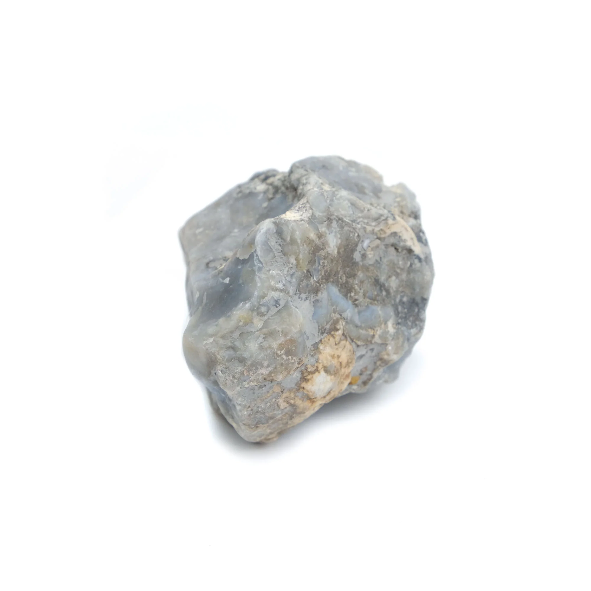 Agatized Coprolite Specimen #103 - Image 3