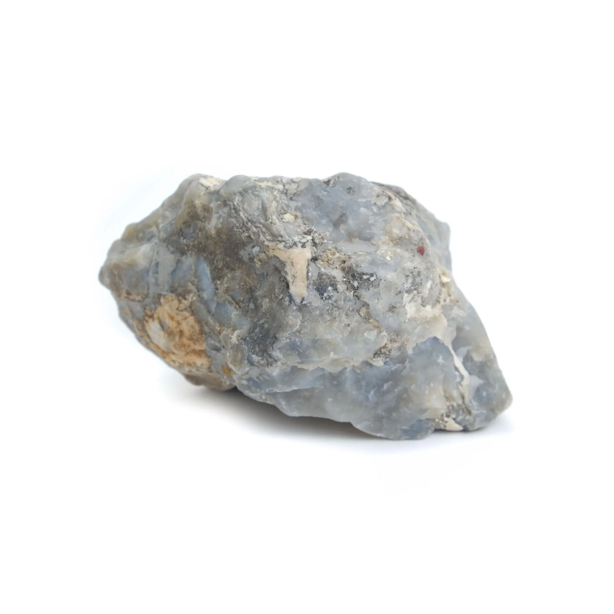 Agatized Coprolite Specimen #103 - Image 4