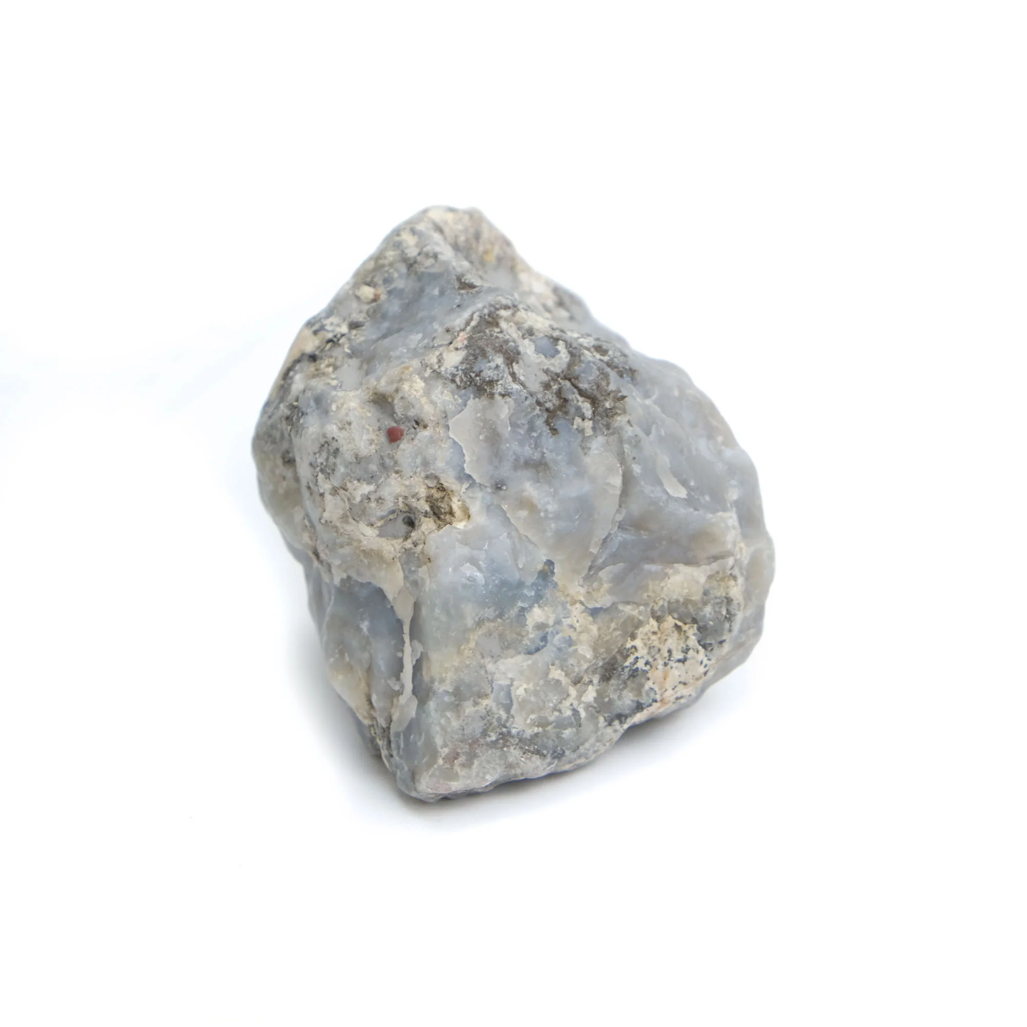 Agatized Coprolite Specimen #103 - Image 5