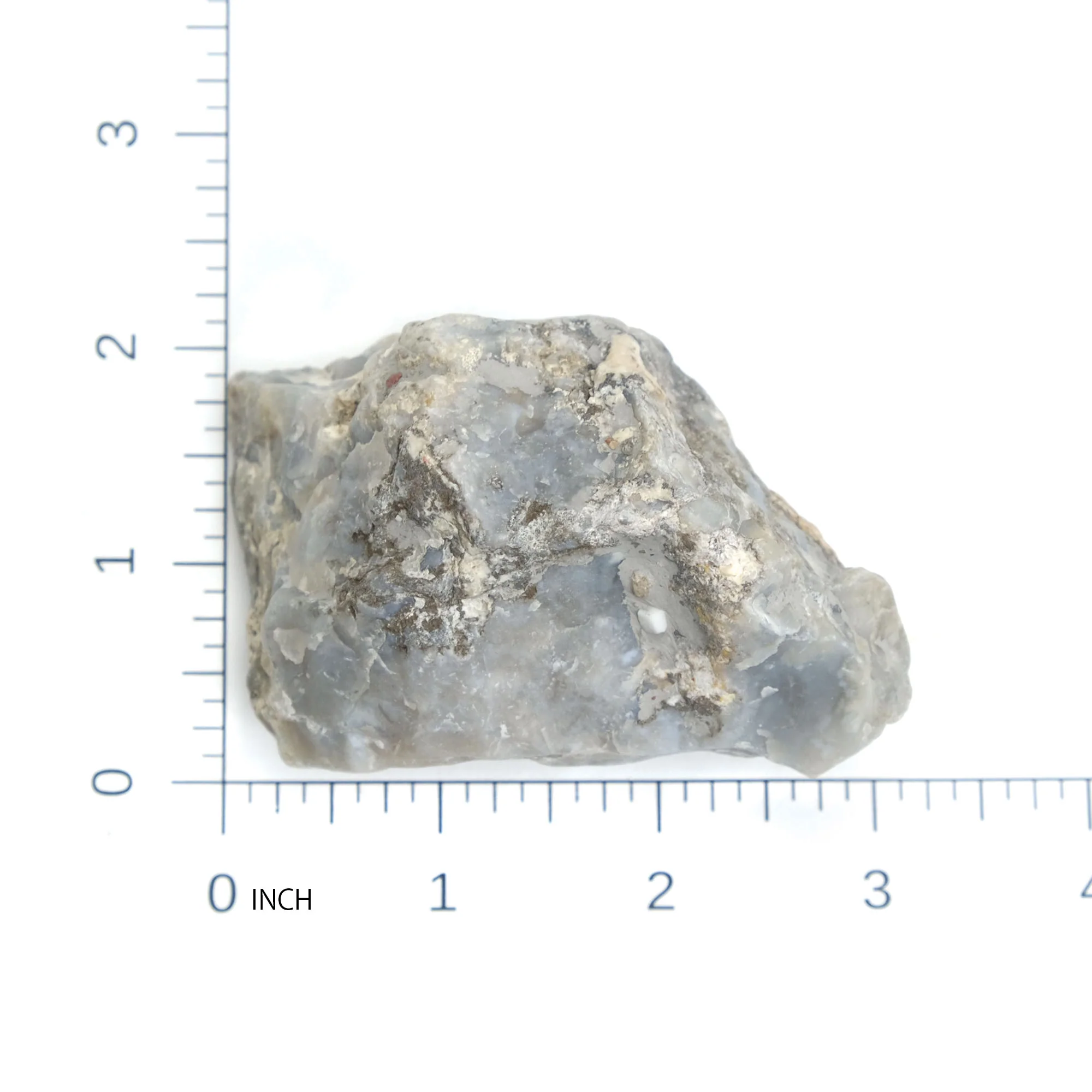 Agatized Coprolite Specimen #103 - Image 6