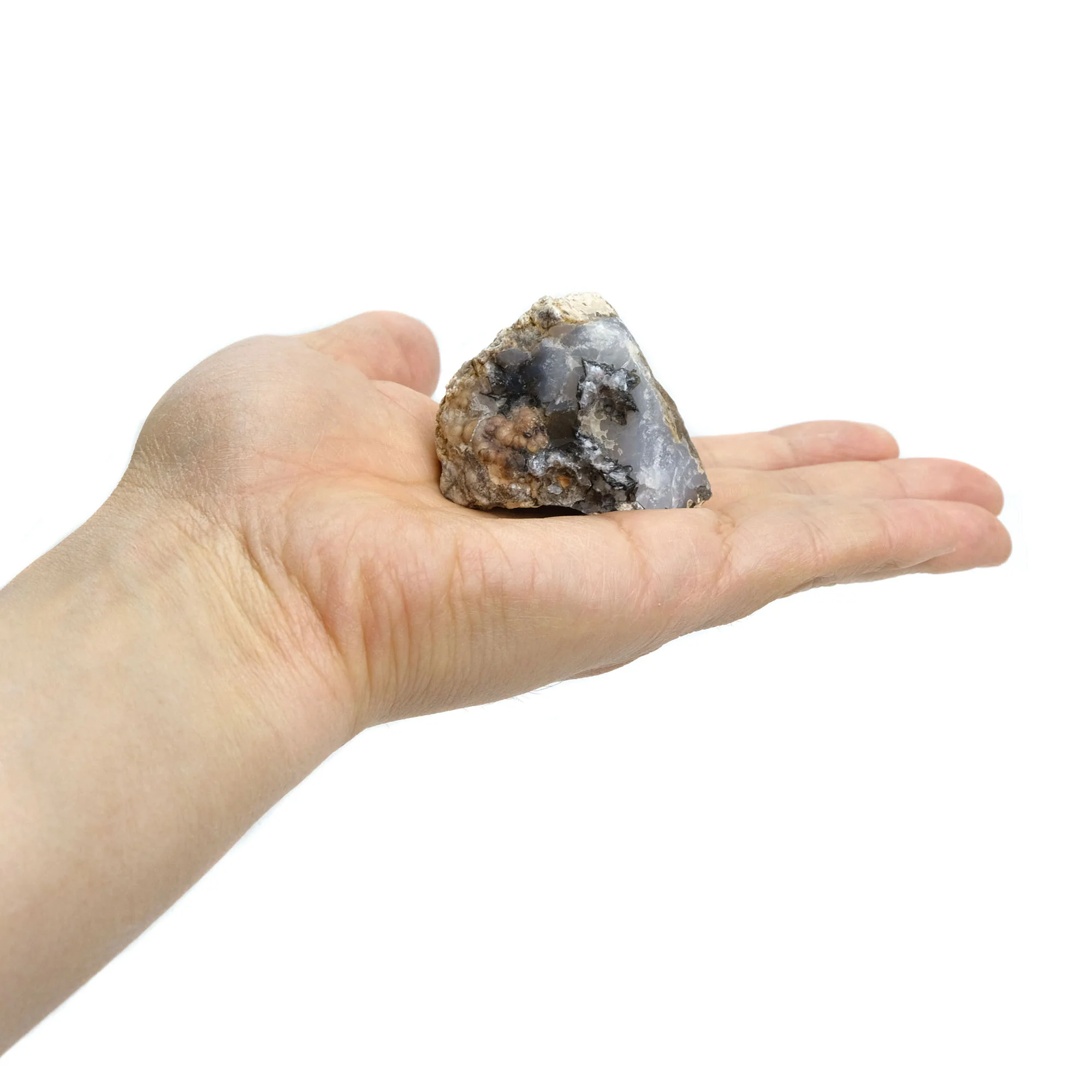 Agatized Coprolite Specimen #107 - Image 2