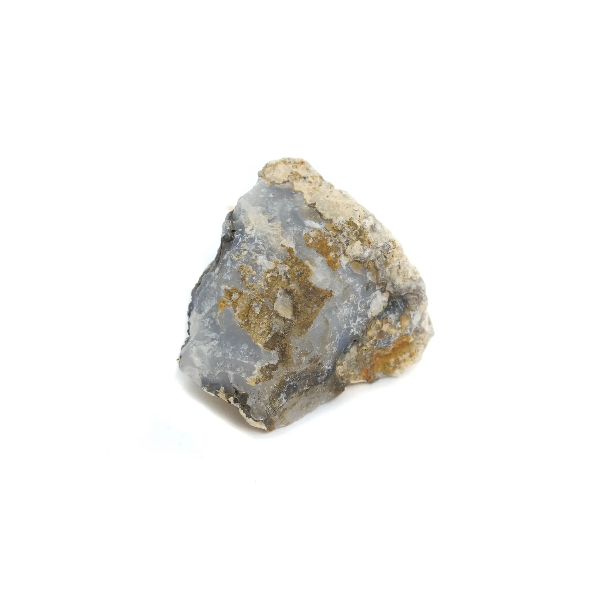 Agatized Coprolite Specimen #107 - Image 3