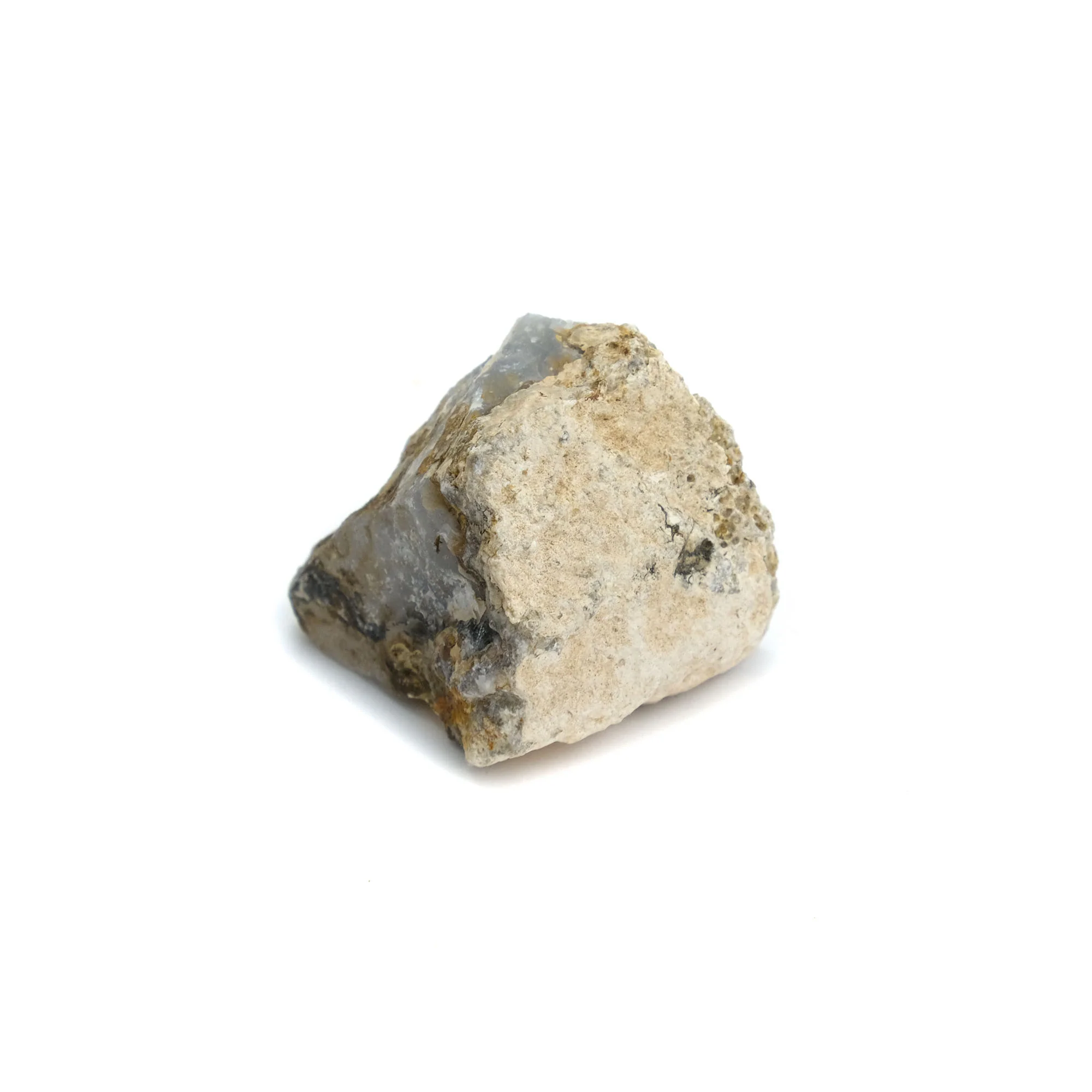 Agatized Coprolite Specimen #107 - Image 4