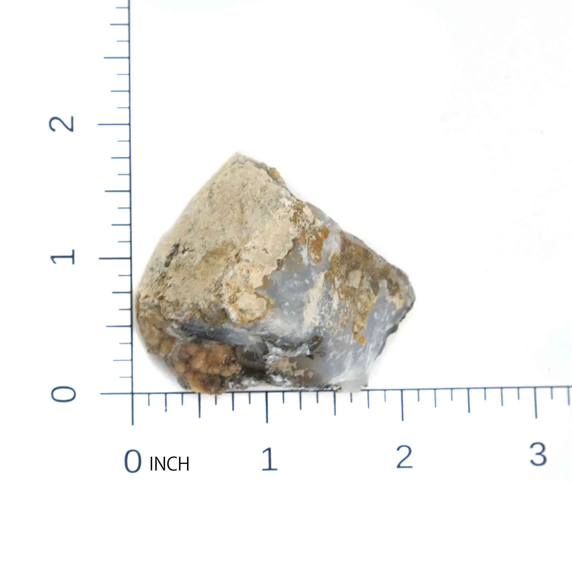 Agatized Coprolite Specimen #107 - Image 5