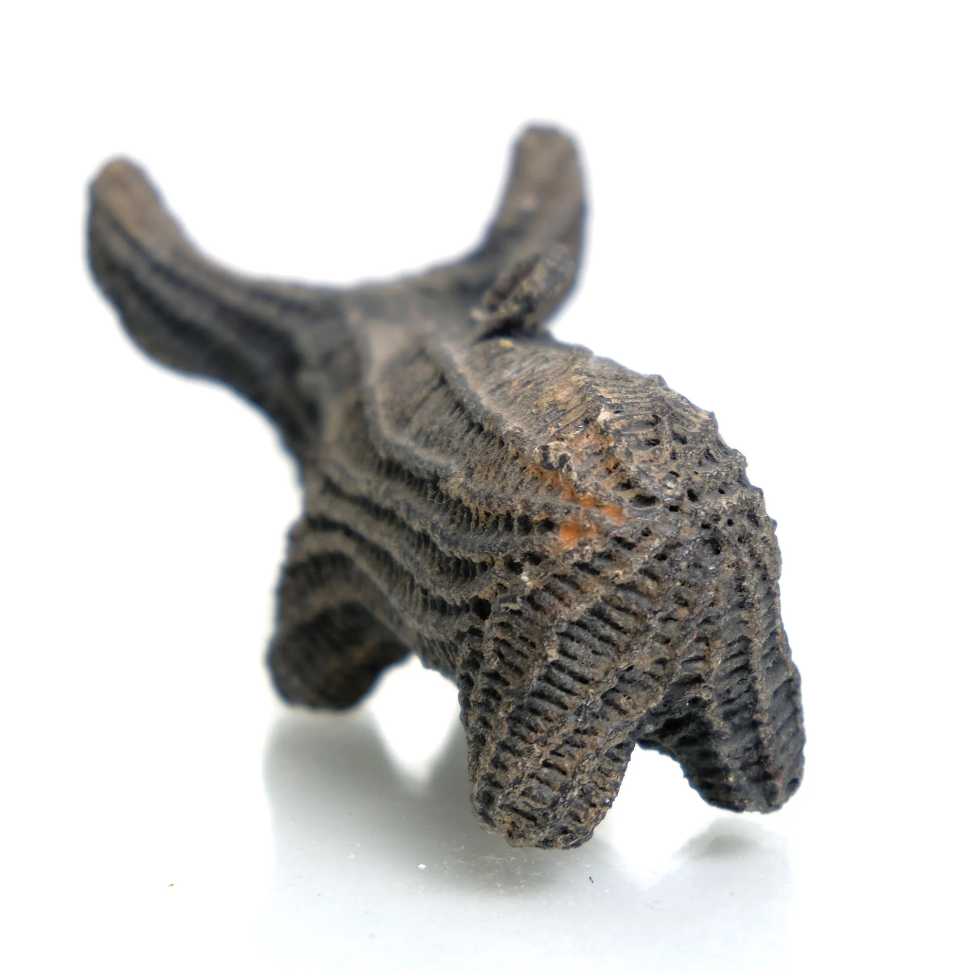 The Kwai Wua Thanu Magic Bull Large - Image 3