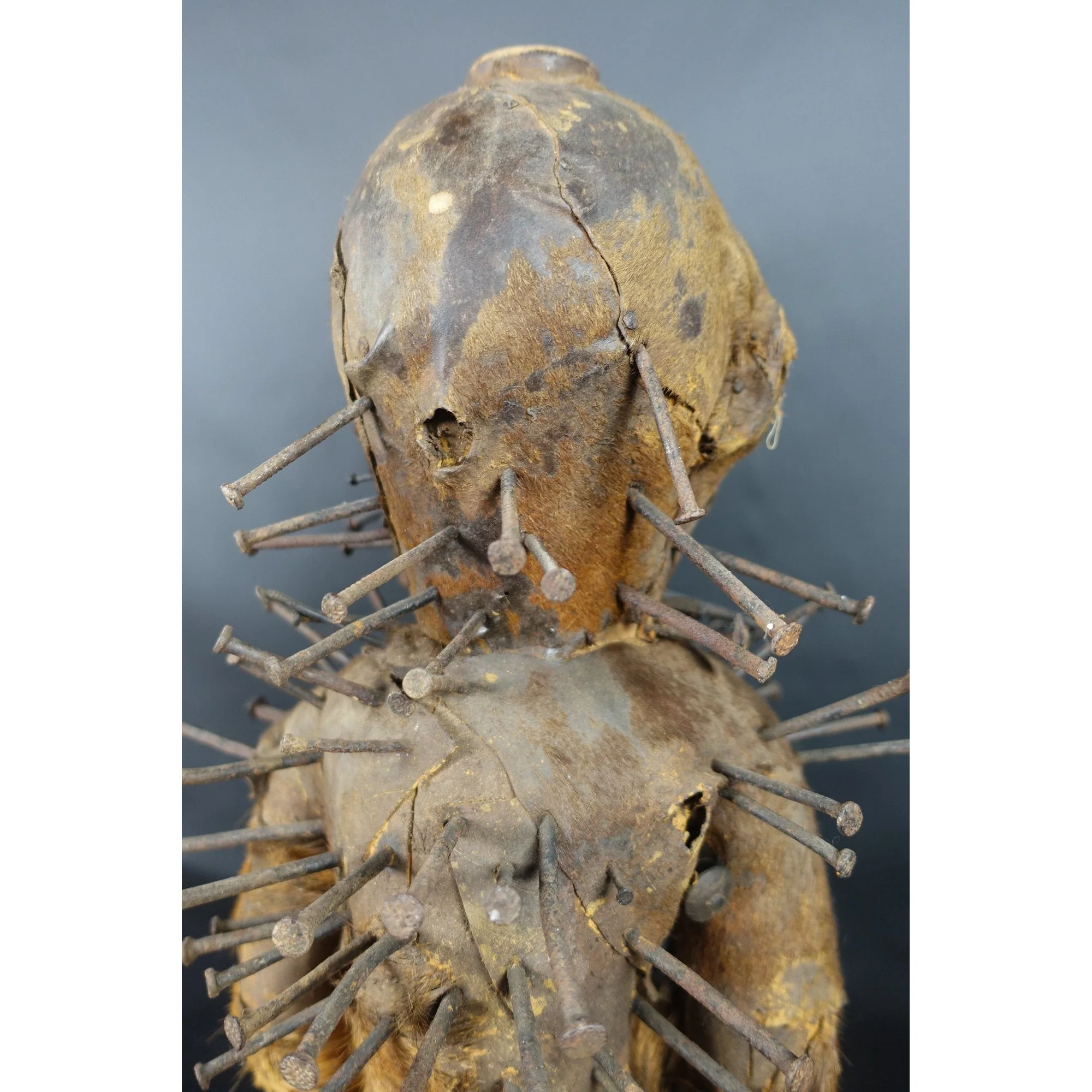 Bakongo Nkisi Monkey Nail Fetish Figure, Congo #1017 - Image 22