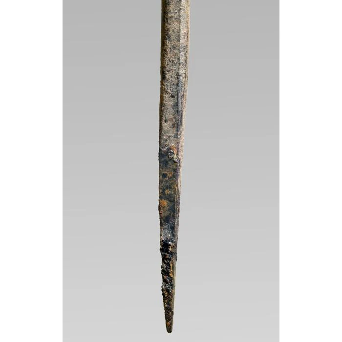 Bamana Ritual Staff, Mali #806 - Image 11