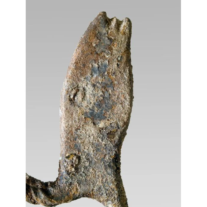 Bamana Ritual Staff, Mali #806 - Image 7