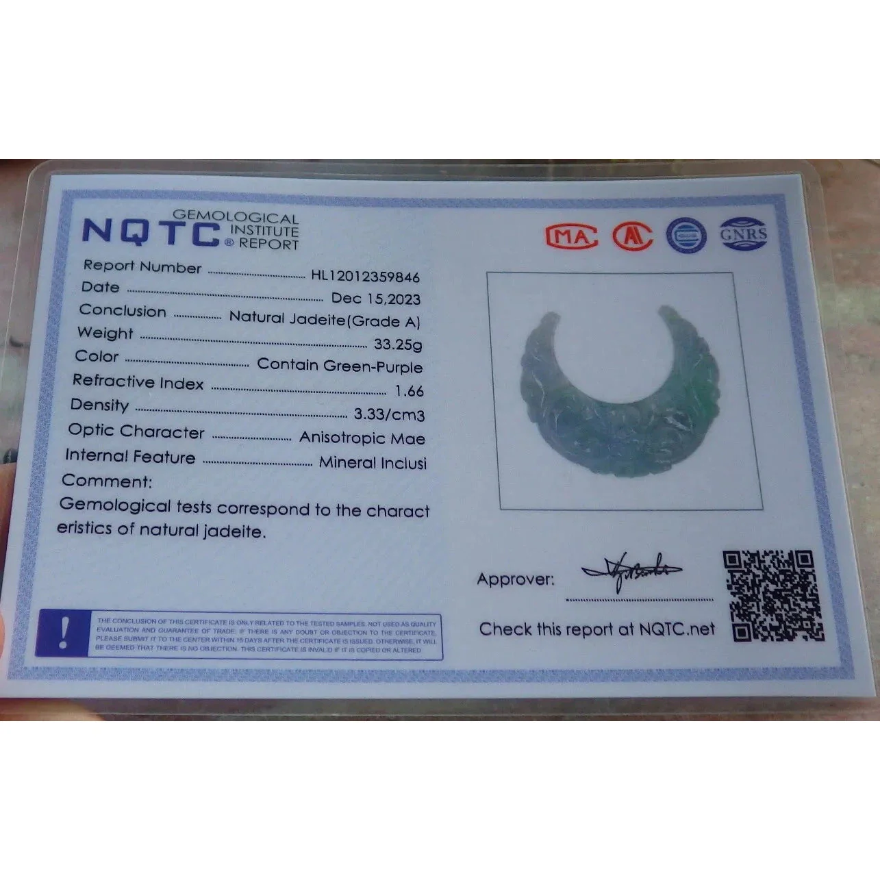 Certified Green Burma Natural A Jade Jadeite Pendant Ruyi Butterfly Necklace - Image 11