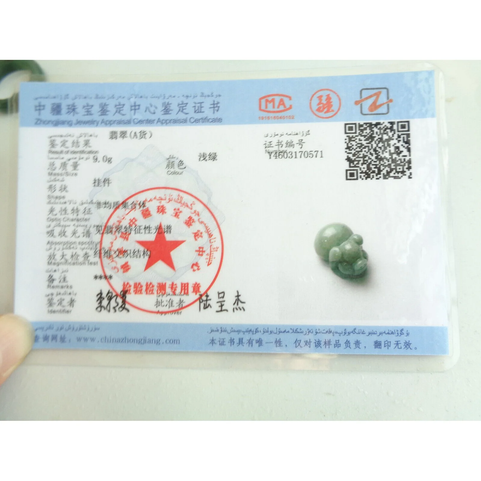 Certified Green Natural Type A Jade Jadeite Carved Pig Coin Pendant - Image 3
