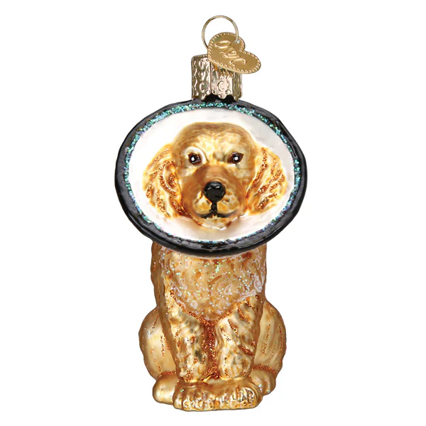 Cone Of Shame Dog Ornament - Image 2
