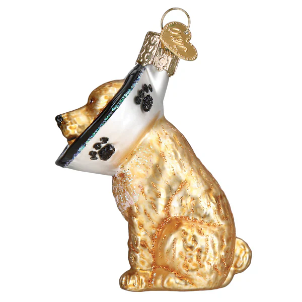 Cone Of Shame Dog Ornament - Image 3