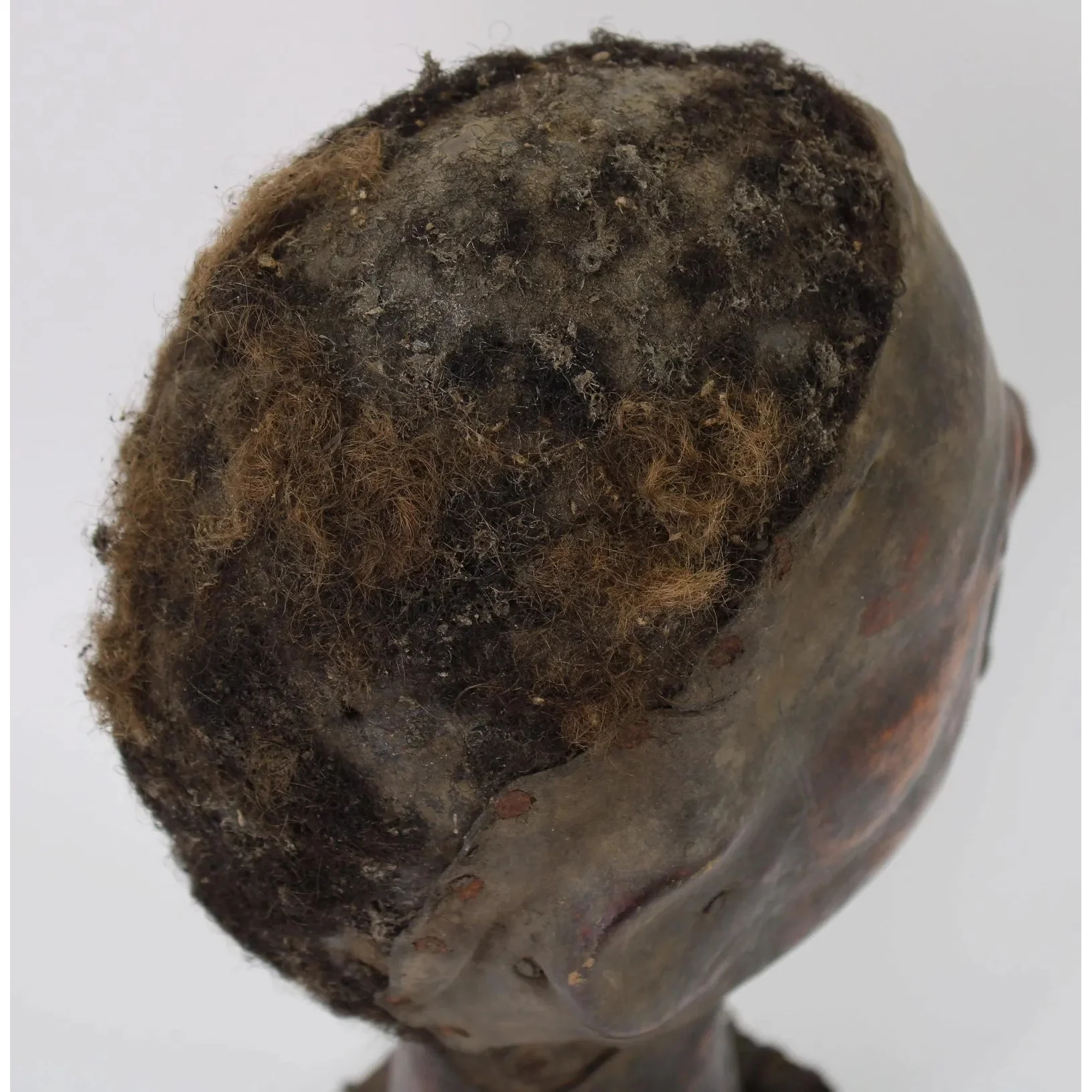 Ekoi Ejagham Hide Covered Headdress, Nigeria #973 - Image 7