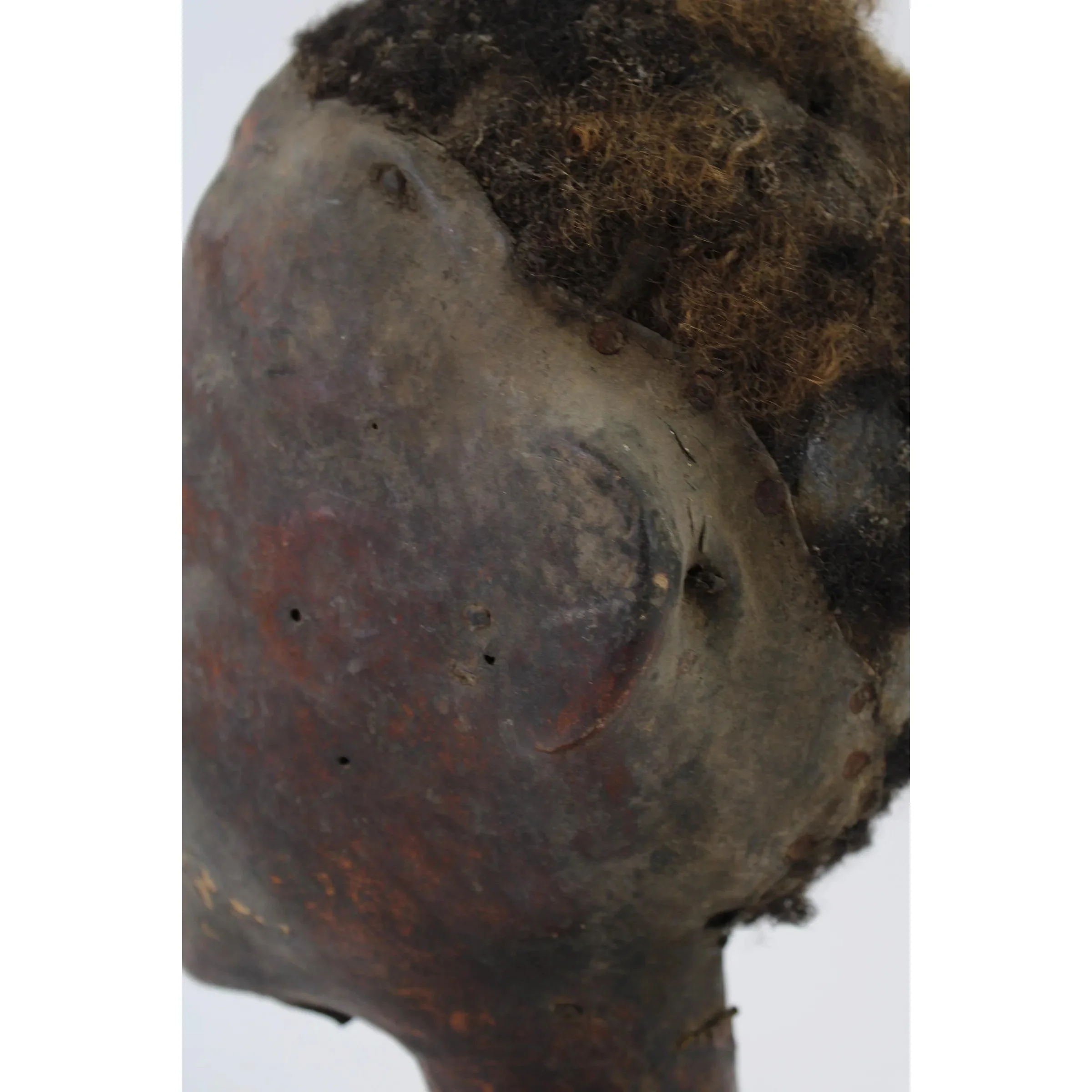 Ekoi Ejagham Hide Covered Headdress, Nigeria #973 - Image 8