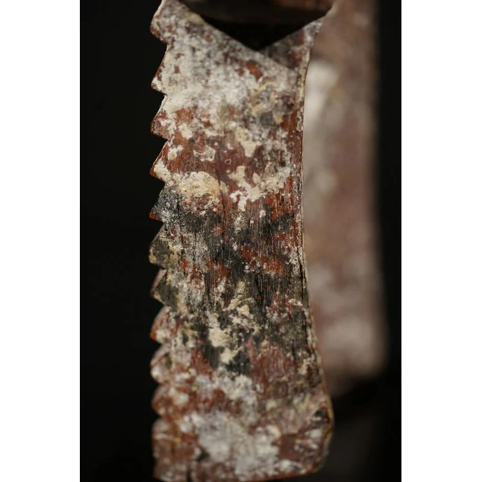 Adan Couple Figure, Ghana #809 - Image 4