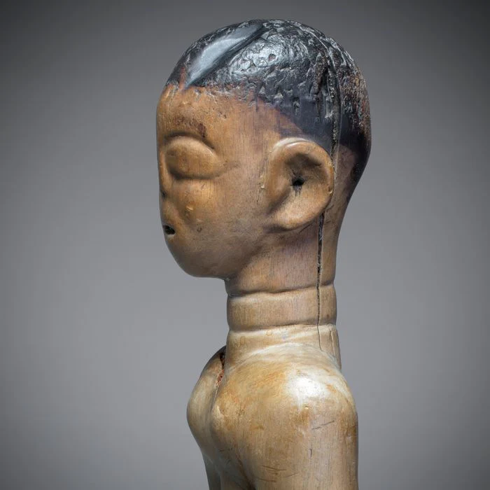 Ewe Venavi Twin, Ghana - Image 9