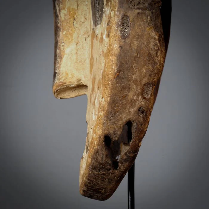 Fang Ngil Mask, Gabon #309 - Image 10