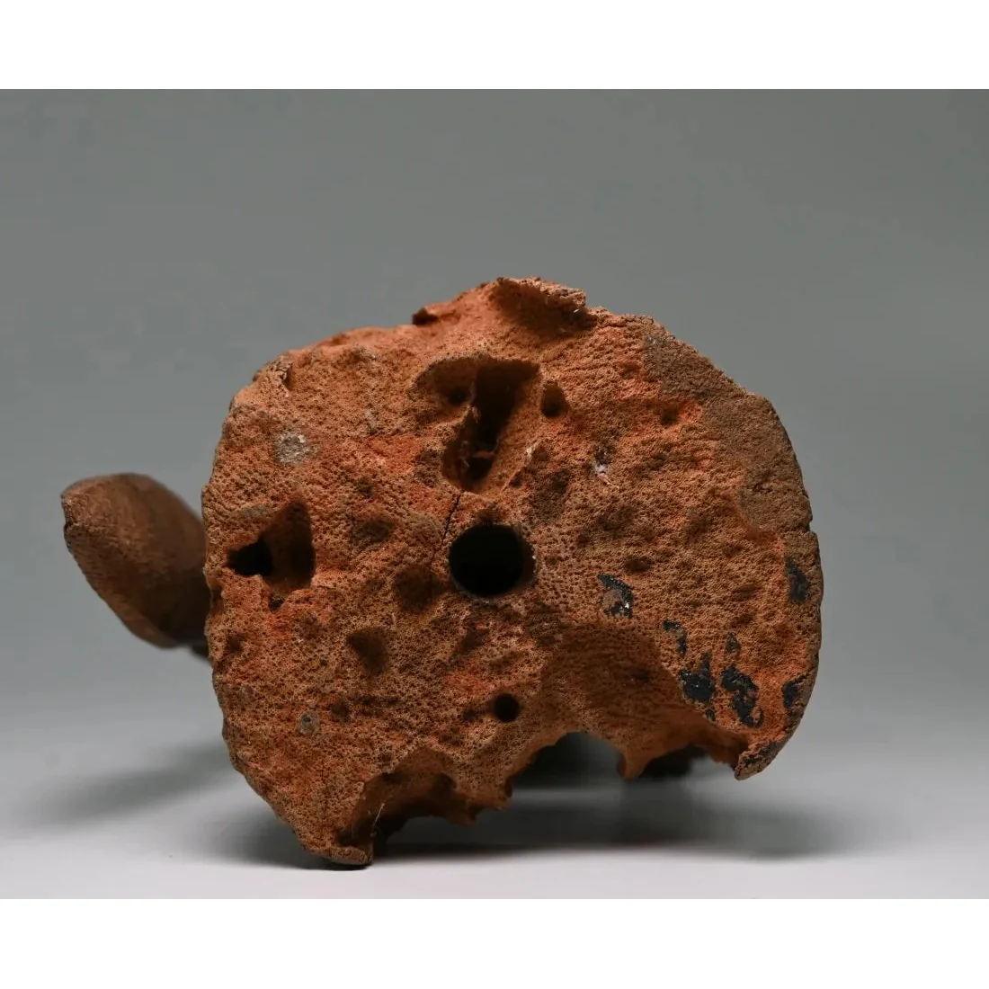 Fon Female Sculpture with Dagger, Togo / Dahomey #871 - Image 7