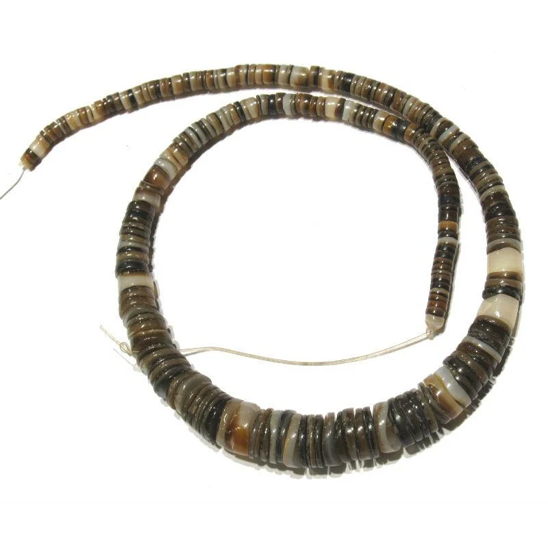 Graduated Shell Hishis - Image 3