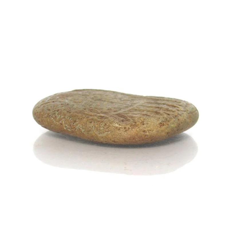 Hand And Foot Of The Buddha Protective Charm Ca.1950 - Image 3
