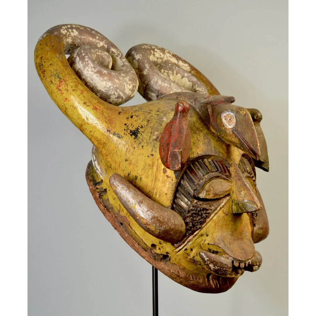 Igala Ibegwu Mask with Horns, Nigeria #955 - Image 5