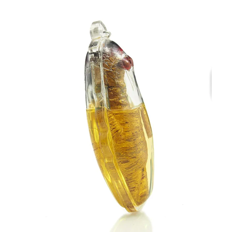 Kuman Thong Shrouded Amulet Pendant In Oil-8 - Image 3