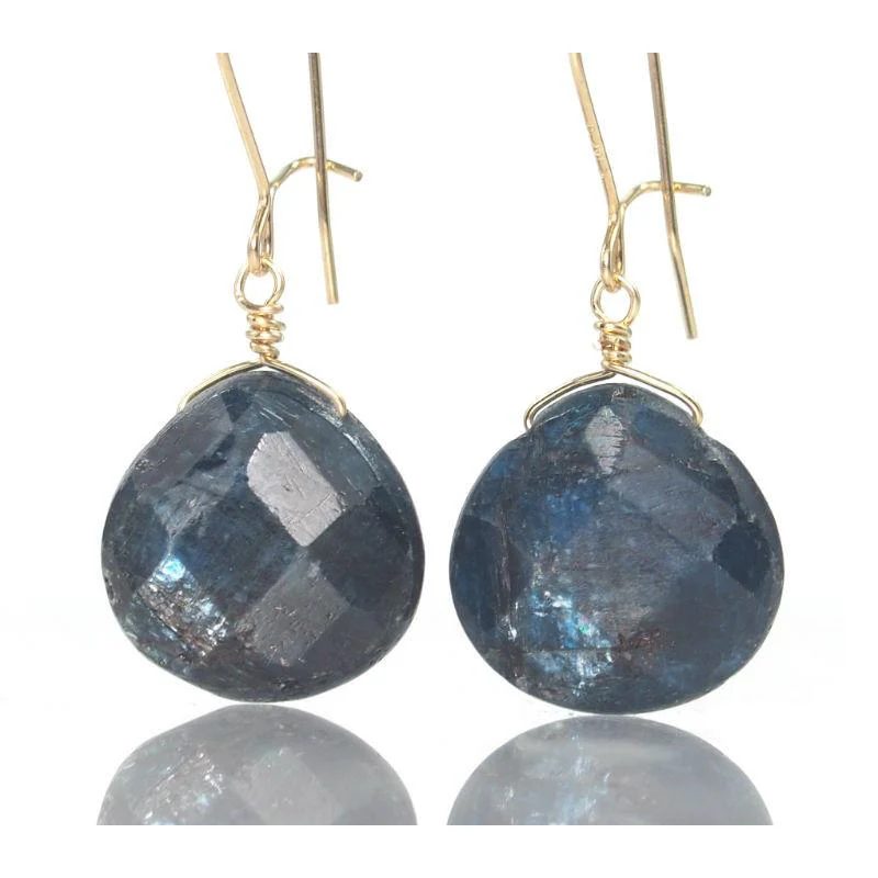Kyanite Earrings with Gold Filled Kidney Ear Wires - Image 2