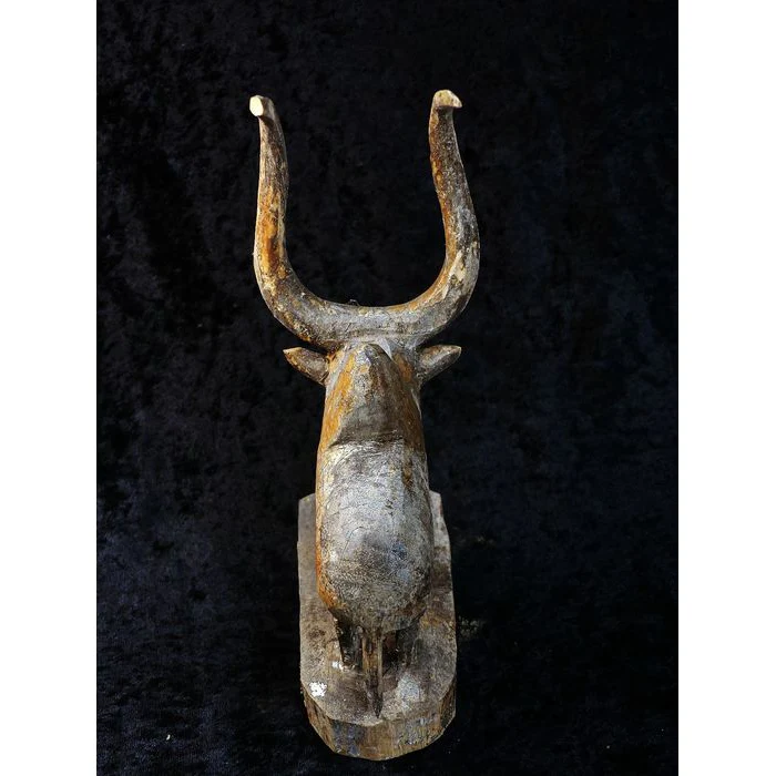 Mahafaly AloAlo Funery Pole Fragment Long Horn Zebu Steer, Madagascar #742 - Image 5