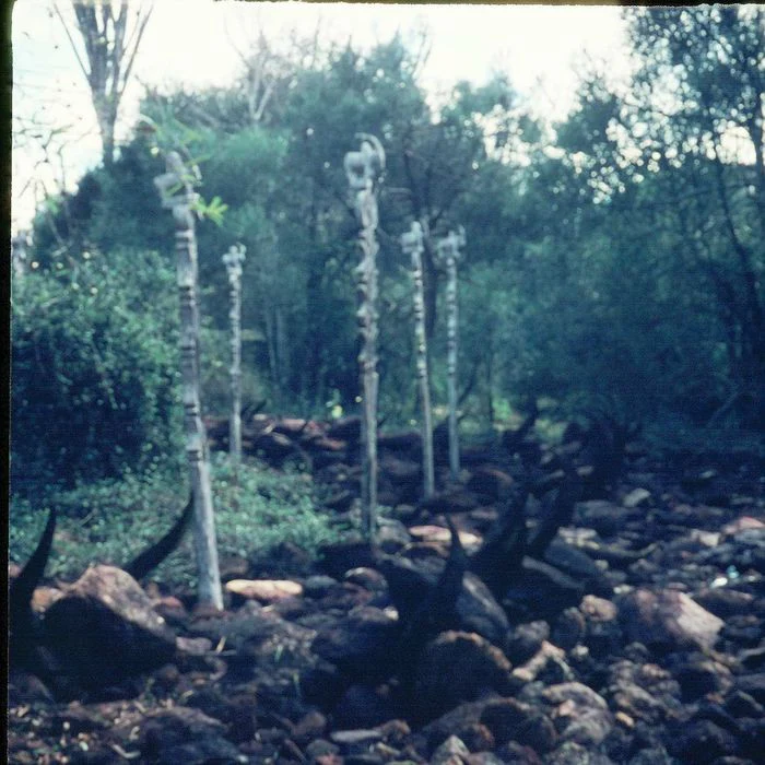Mahafaly AloAlo Funery Pole Fragment Long Horn Zebu Steer, Madagascar #742 - Image 7