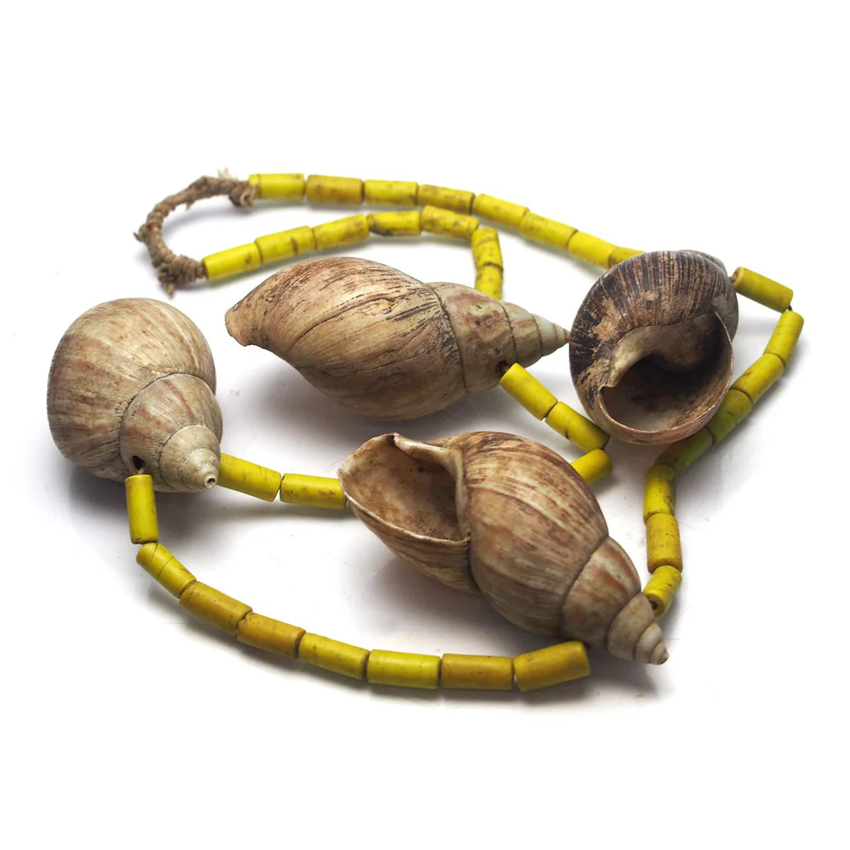 Naga Shell Heirloom Bead Necklace - Image 3