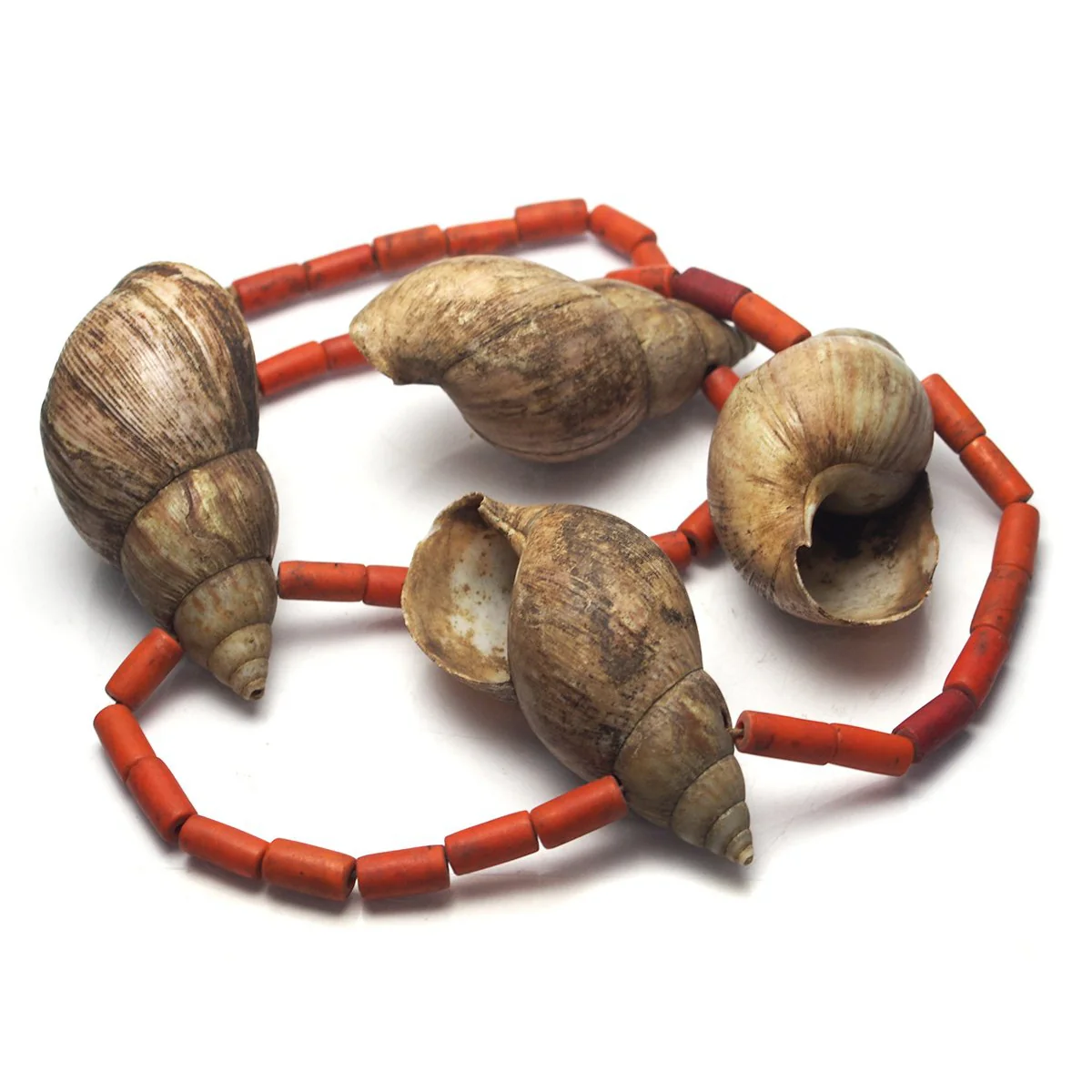 Naga Shell Heirloom Bead Necklace - Image 5