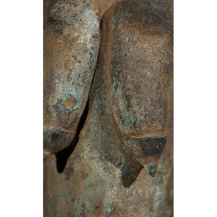 Yoruba Ogboni Shrine Figures PAIR, Nigeria #778 - Image 42