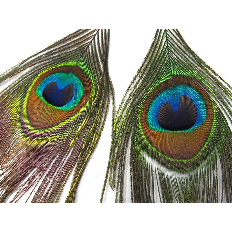 Peacock Feather With Turquoise Beads Earrings - Image 2