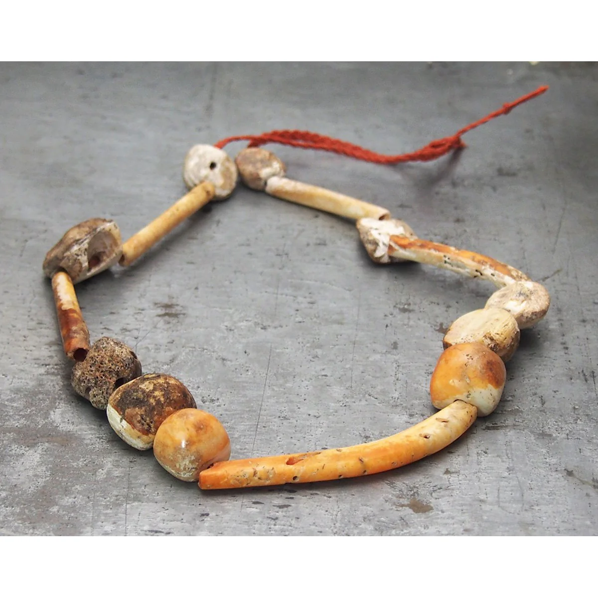 Pre-Columbian Spiny Oyster Necklace, A - Image 5