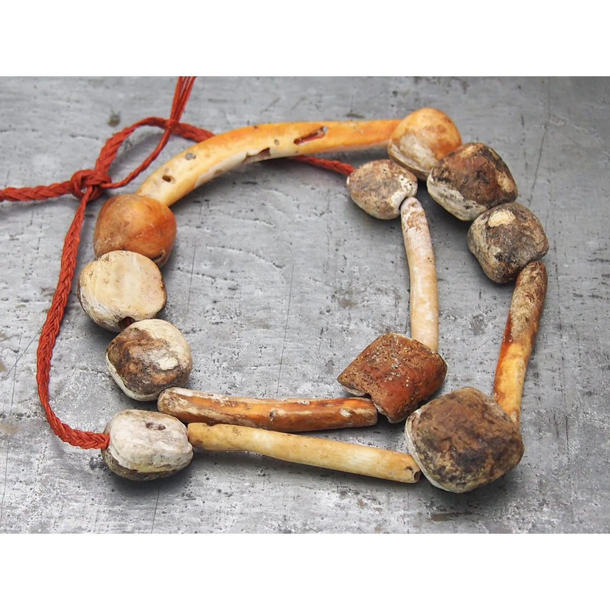 Pre-Columbian Spiny Oyster Necklace, A - Image 6