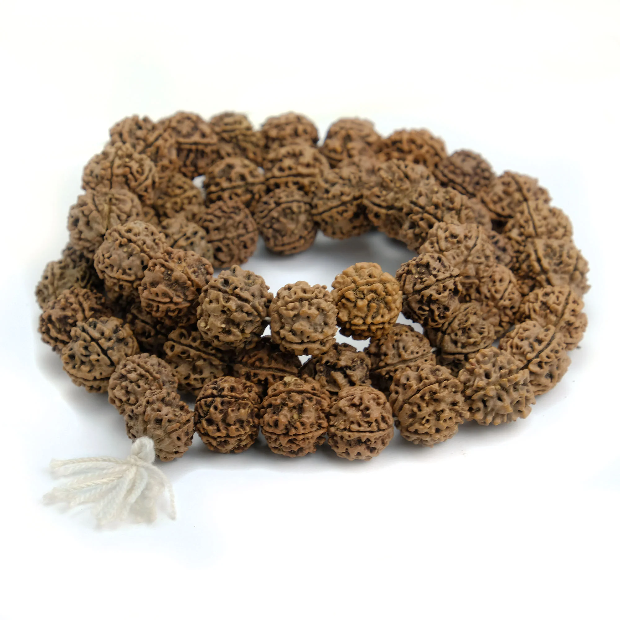 Rudraksha 20mm Half Mala - Image 3