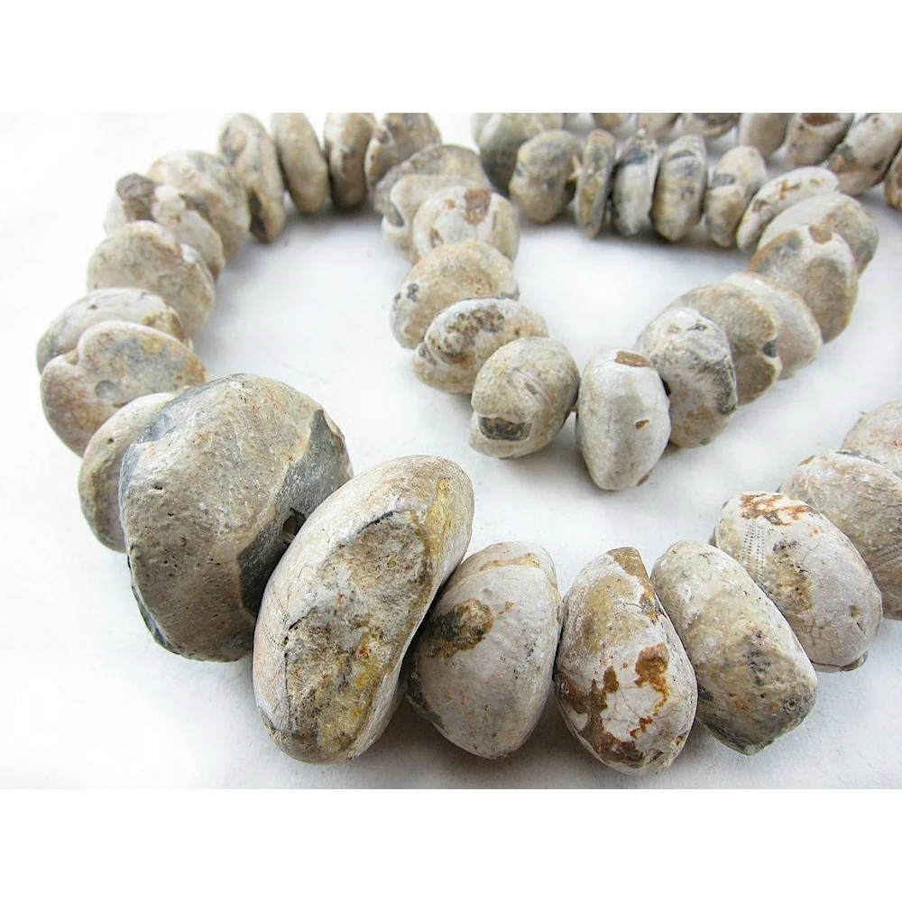 Sahara Drilled Fossil Beads / Necklace from Mali - Image 2
