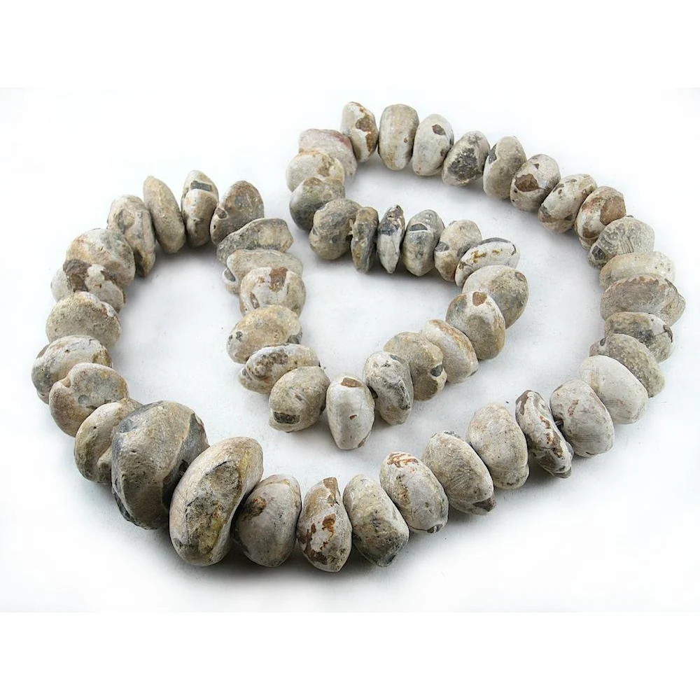 Sahara Drilled Fossil Beads / Necklace from Mali - Image 3