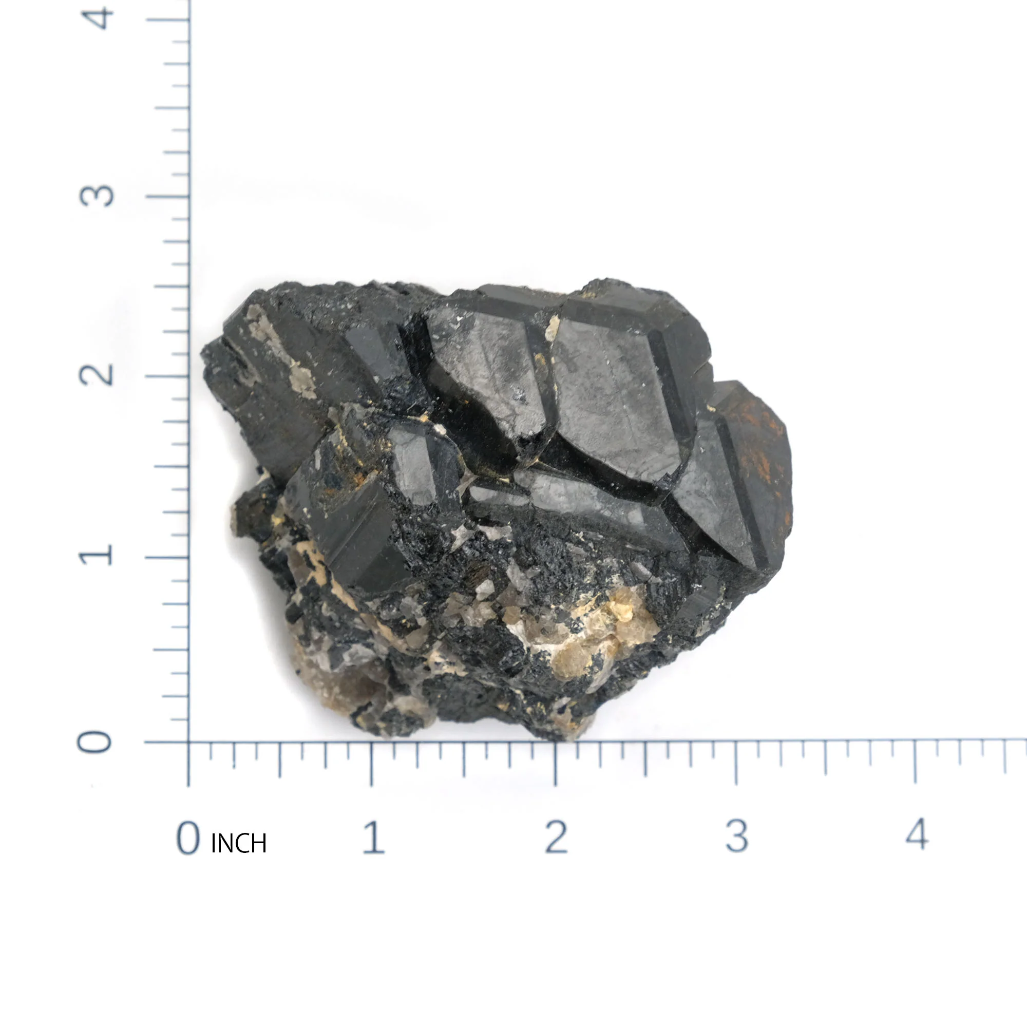 Black Tourmaline Crystals Specimen #78 - Image 6