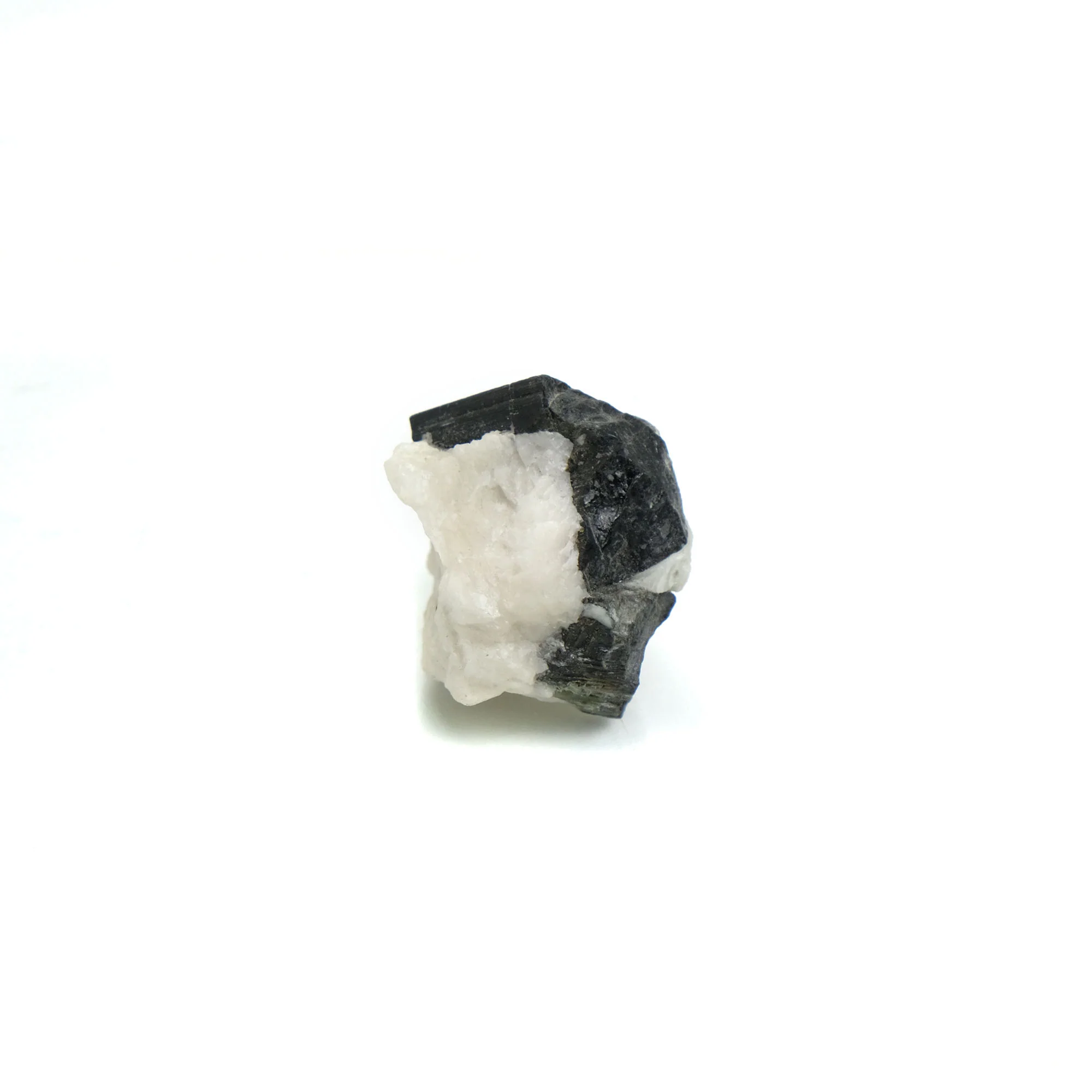 Black Tourmaline Crystals in Quartz Specimen #84 - Image 3