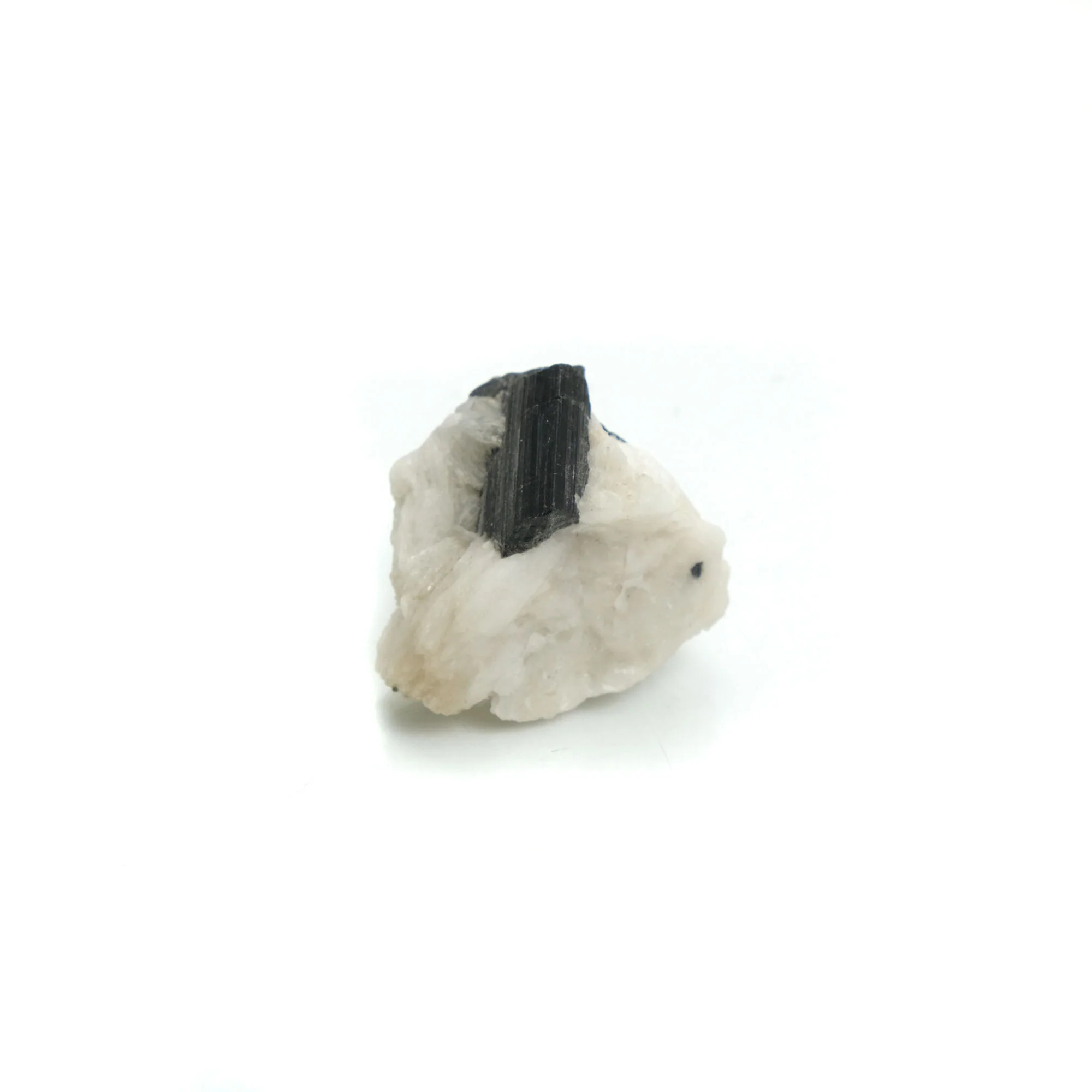 Black Tourmaline Crystals in Quartz Specimen #84 - Image 4