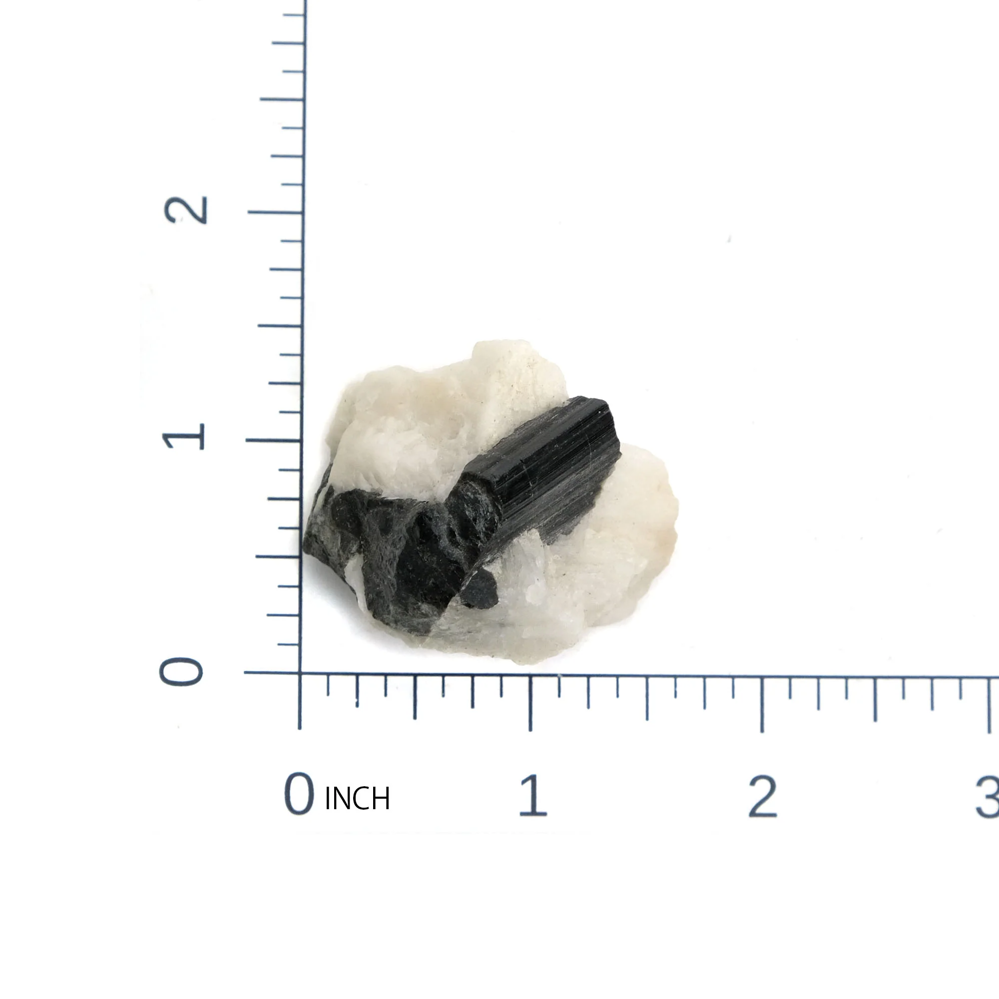 Black Tourmaline Crystals in Quartz Specimen #84 - Image 5