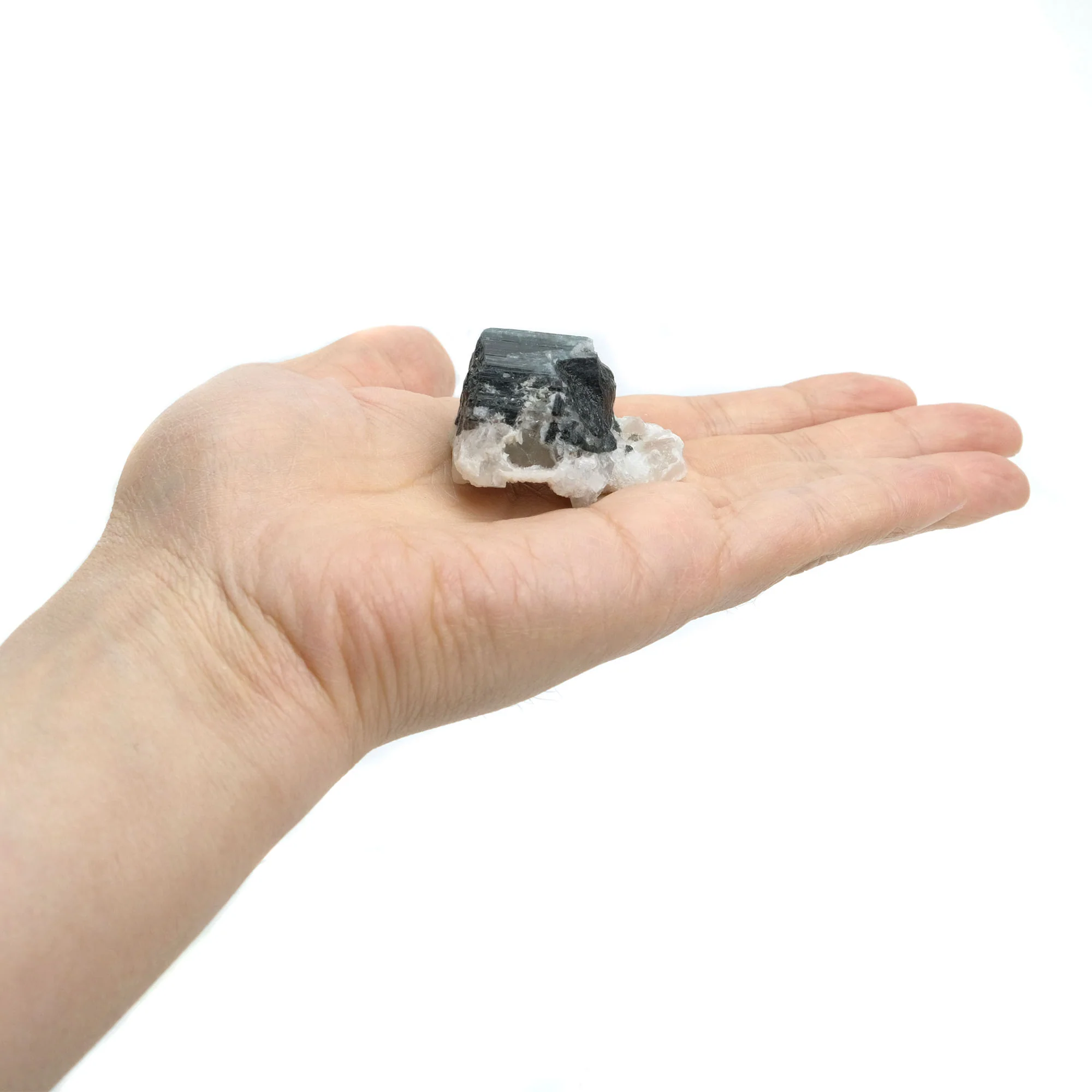 Black Tourmaline Crystals in Quartz Specimen #87 - Image 4