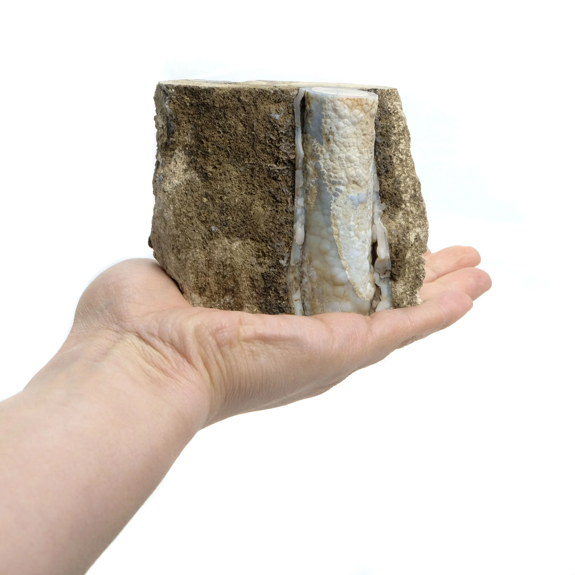 Fossilized Coral in Botryoidal Form with Silicate Druzy Specimen #95 - Image 2