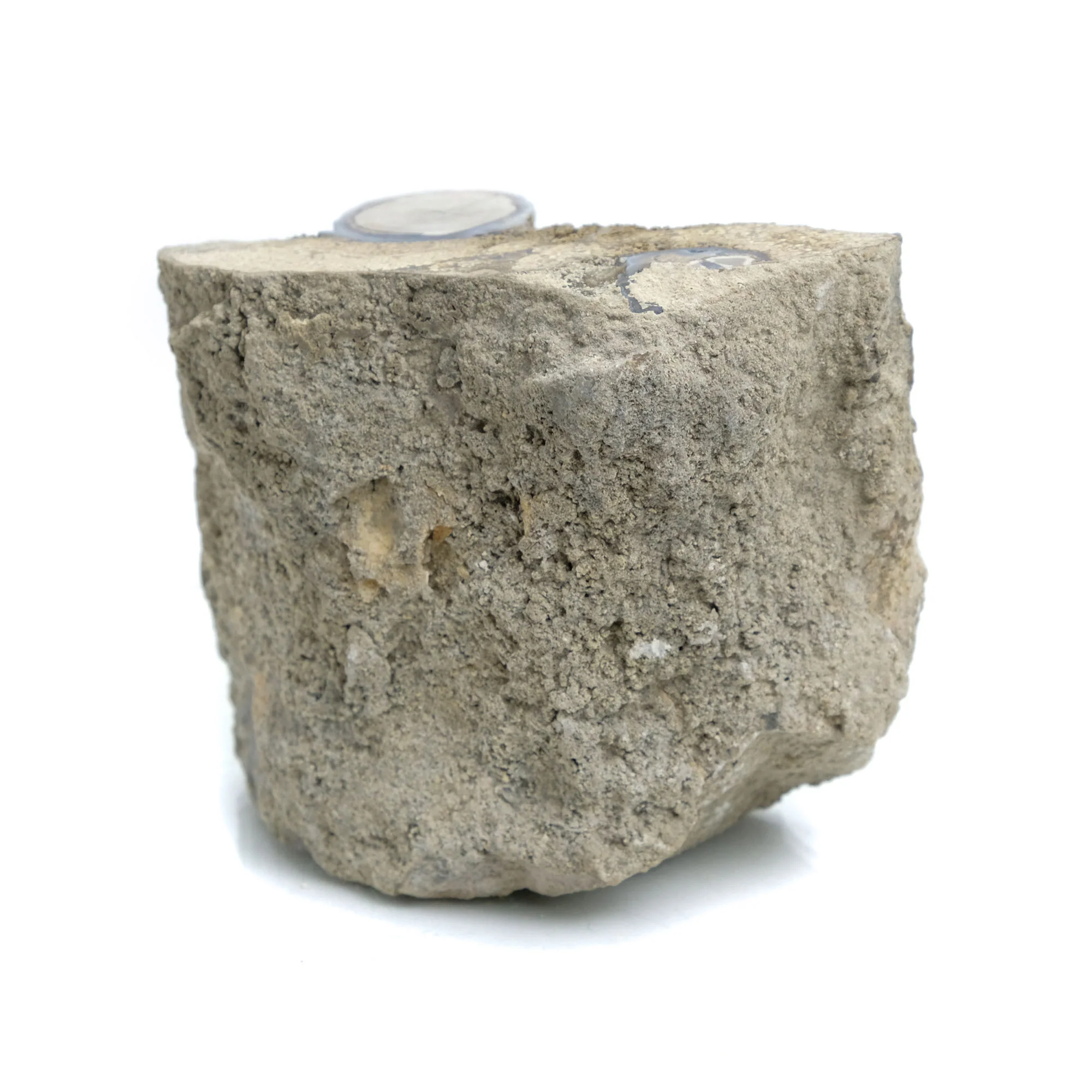 Fossilized Coral in Botryoidal Form with Silicate Druzy Specimen #95 - Image 4