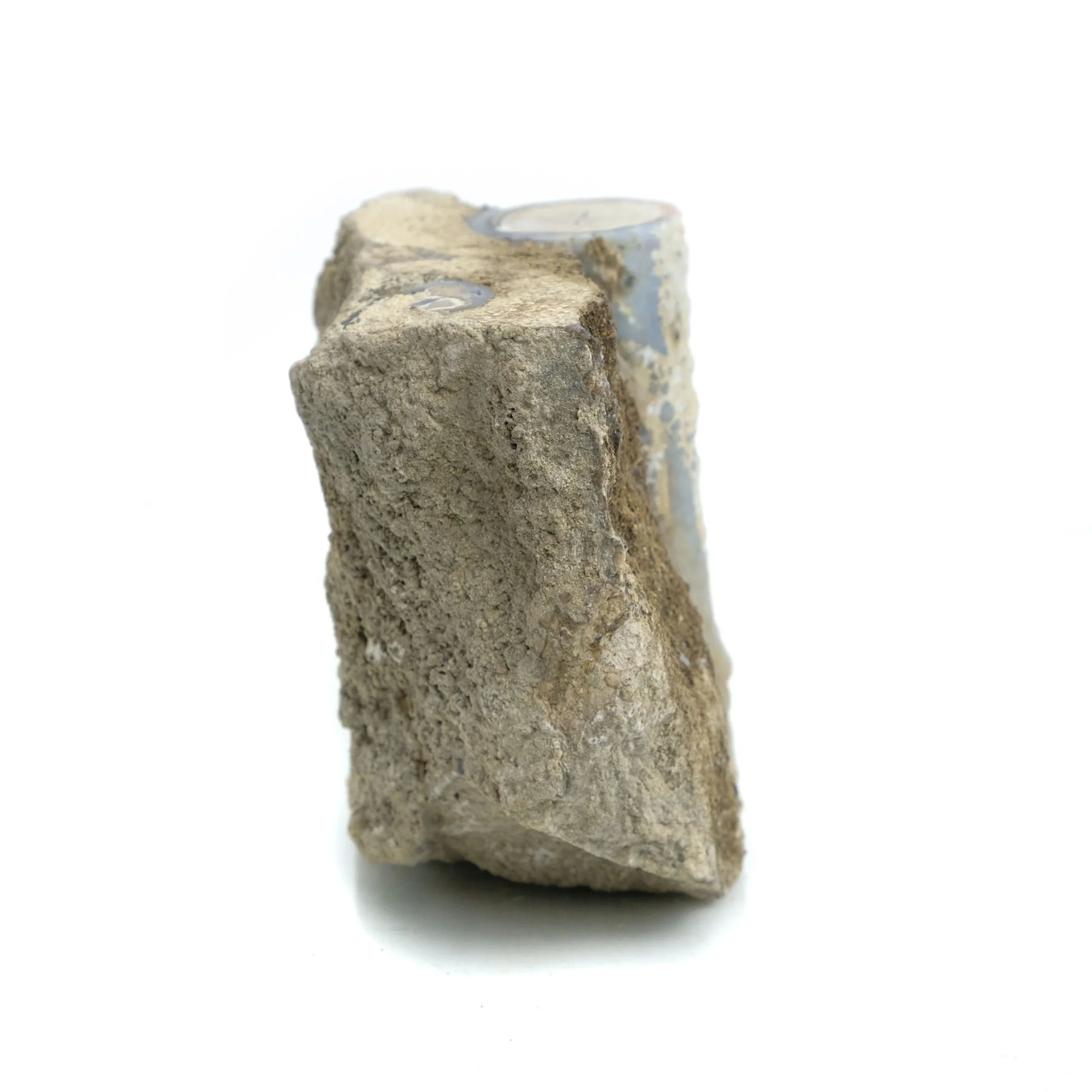 Fossilized Coral in Botryoidal Form with Silicate Druzy Specimen #95 - Image 5