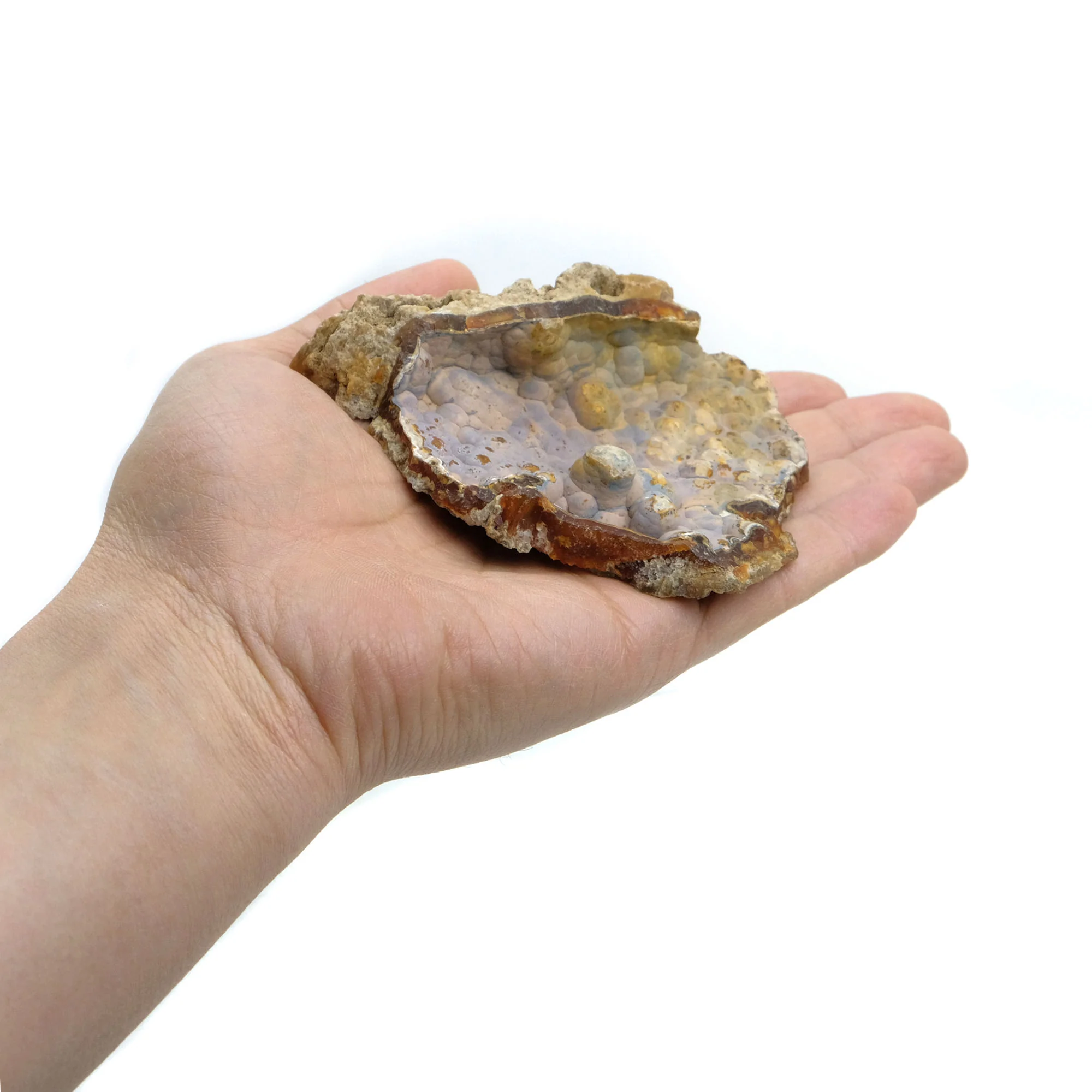Fossilized Coral in Botryoidal Form with Silicate Druzy Specimen #97 - Image 2
