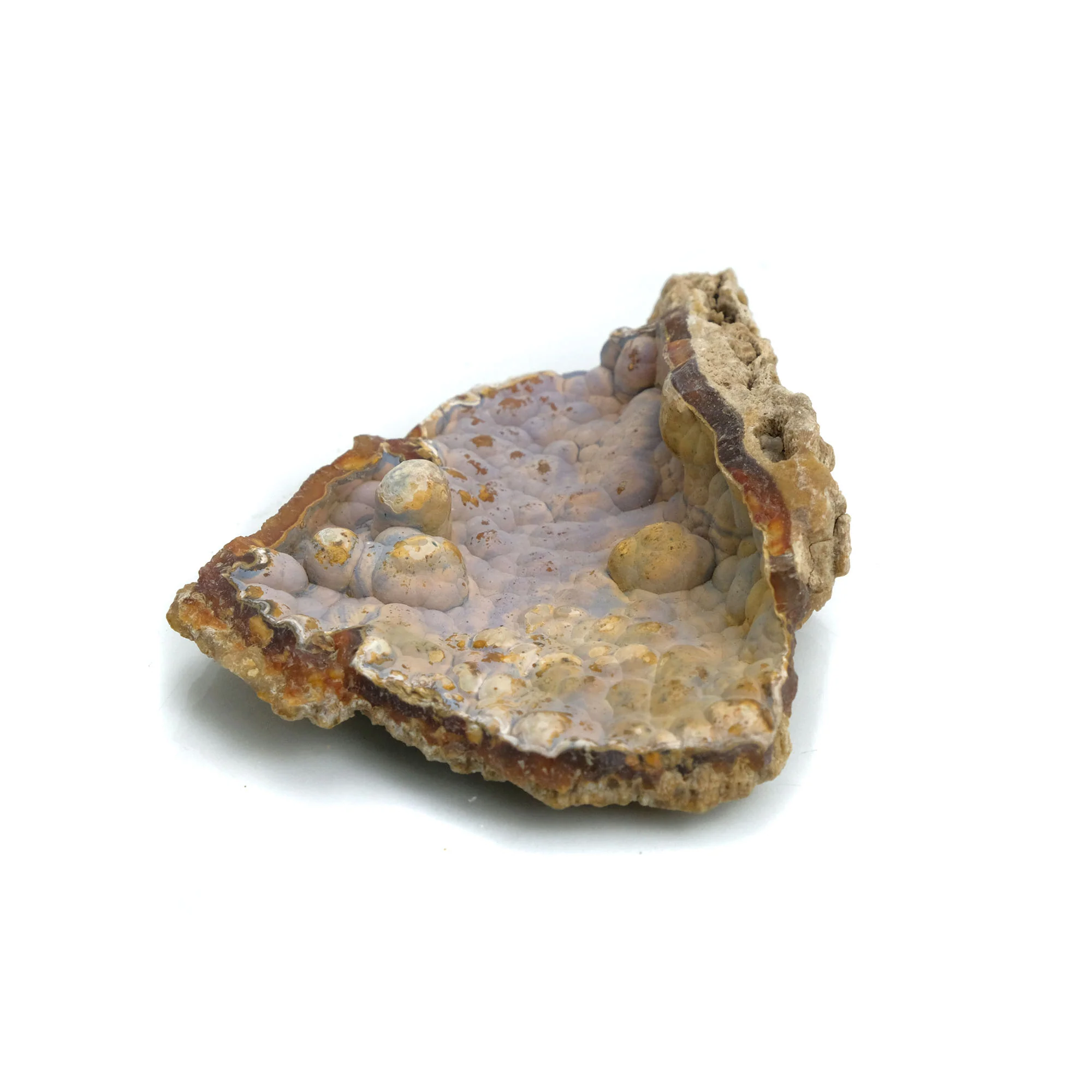 Fossilized Coral in Botryoidal Form with Silicate Druzy Specimen #97 - Image 3
